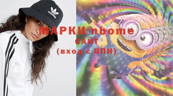 хмурый Алзамай