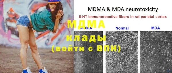 хмурый Алзамай