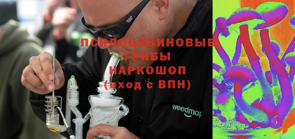 дурь Алексин
