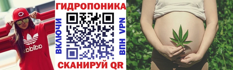 Шишки марихуана марихуана кракен зеркало Камешково